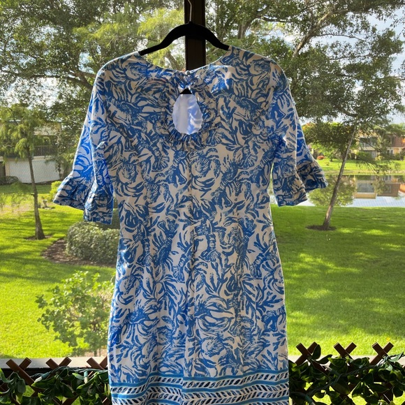 Lilly Pulitzer Ruffle Fiesta Stretch Dress On a Role Blue - Picture 10 of 10